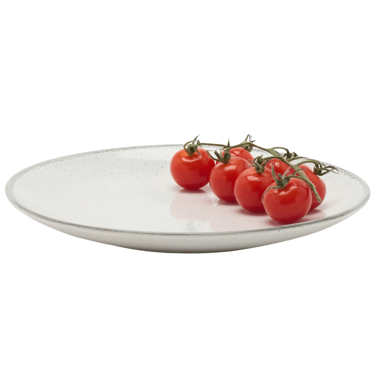 Tessa Gray Speckle Dinnerware (Pack of 4) Dinnerware