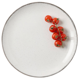 Tessa Gray Speckle Dinnerware (Pack of 4) Dinnerware