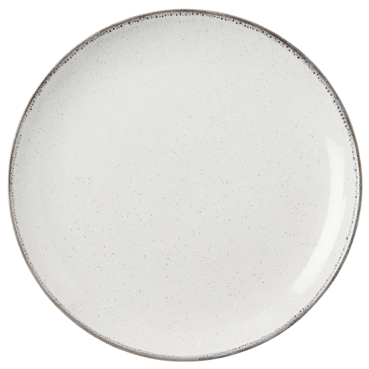 Tessa Gray Speckle Dinnerware (Pack of 4) Dinnerware BP005460