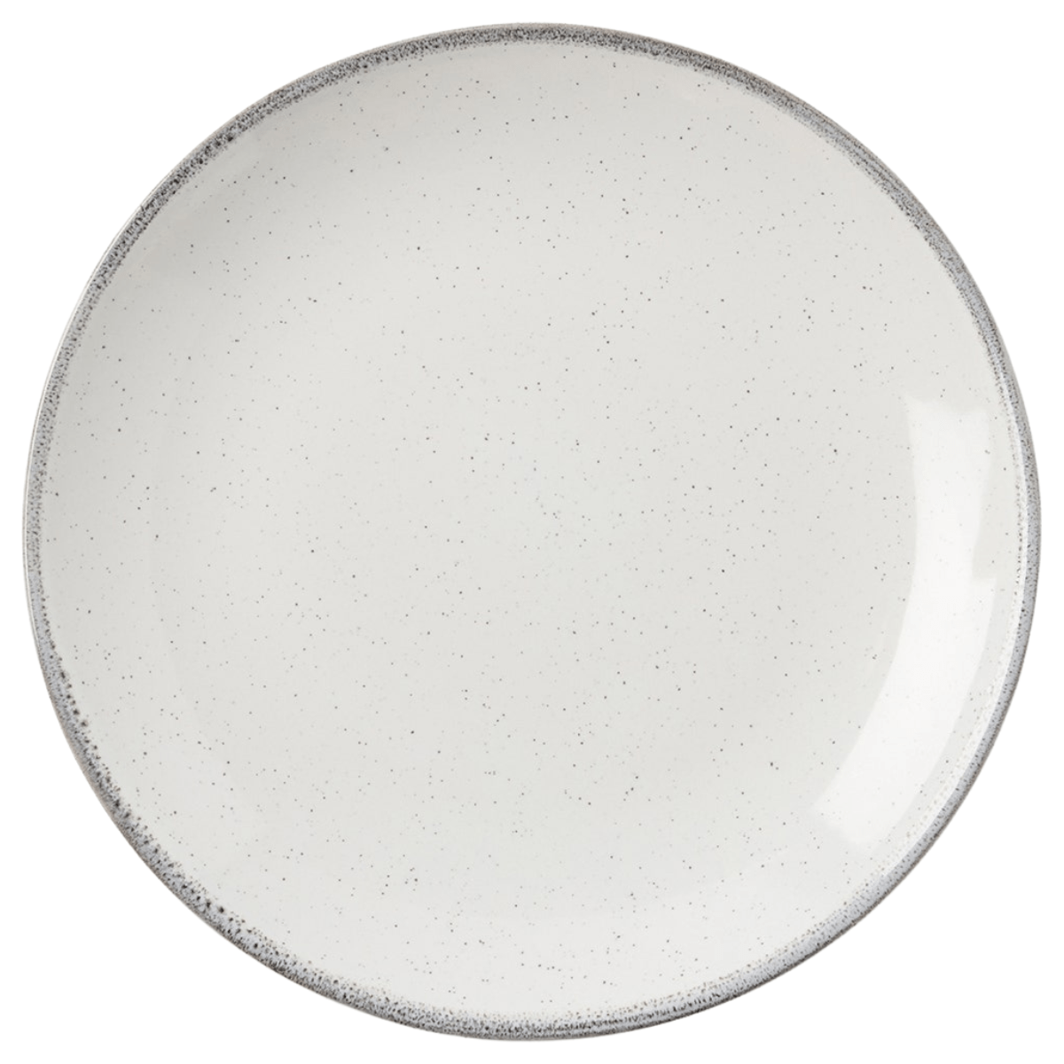 Tessa Gray Speckle Dinnerware (Pack of 4) Dinnerware BP005462