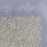 The Way Of The Shepherd No. 1 by Tyler G Wall Art