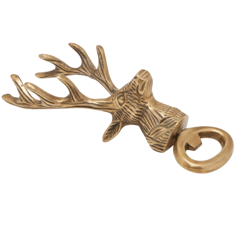 Theodore Bottle Opener (Pack of 2) Kitchen Accessory