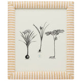 Toluca Picture Frame Picture Frame 02TOLU-WHNT-8X10