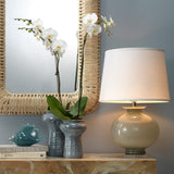 Triton Shell Decorative Objects