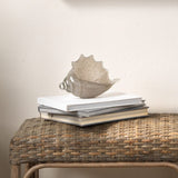 Triton Shell Decorative Objects