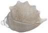 Triton Shell Decorative Objects 7TRIT-SHGR