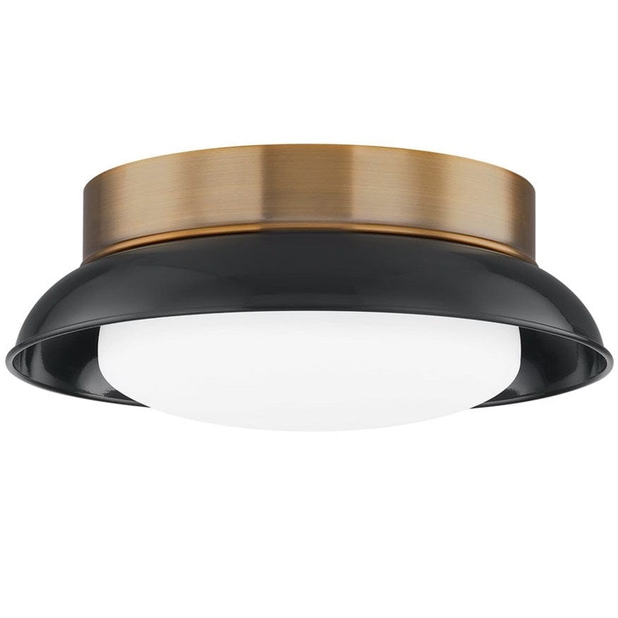 Troy Lighting Arnie Flush Mount Flush Mount troy-