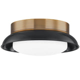 Troy Lighting Arnie Flush Mount Flush Mount troy-