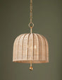 Troy Lighting Lonnie Pendant Pendants