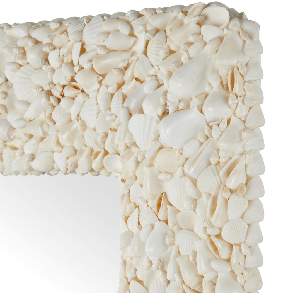 Turbinella Mirror Mirror 1000-0168 00633306063891