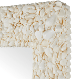 Turbinella Mirror Mirror 1000-0168 00633306063891