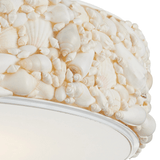 Turbinella Semi-Flush Mount Flush Mount 9000-1324 00633306064492