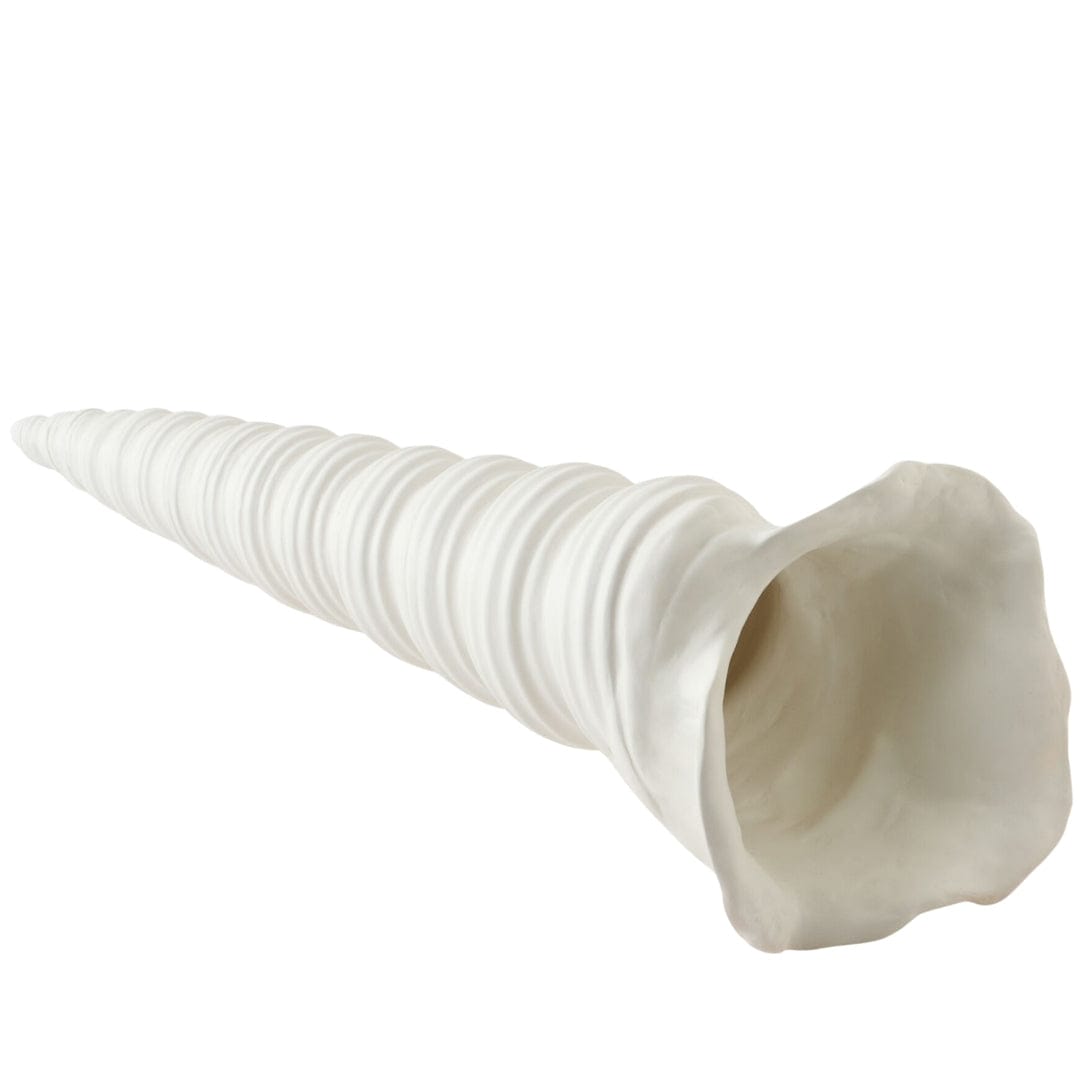 Turbinio Shell Vase Sculptural Objects
