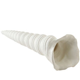 Turbinio Shell Vase Sculptural Objects