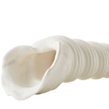 Turbinio Shell Vase Sculptural Objects