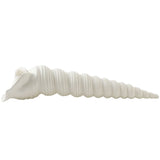 Turbinio Shell Vase Sculptural Objects