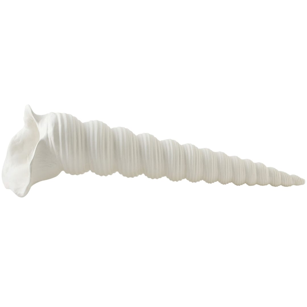 Turbinio Shell Vase Sculptural Objects