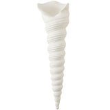 Turbinio Shell Vase Sculptural Objects 331994