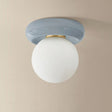 Tyra Flush Mount Flush Mounts