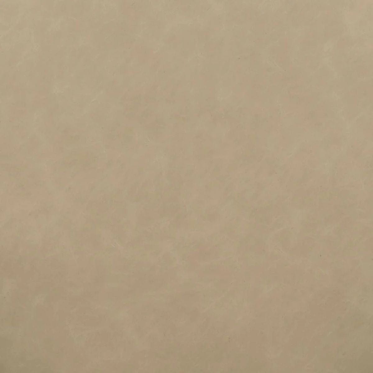 Vera Dining Chair Dining Chairs + Benches