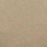 Vera Dining Chair Dining Chairs + Benches