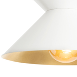 Viggo Flush Mount Lighting