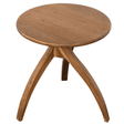 Vikram Side Table Side Tables AE-349T 00842449137448