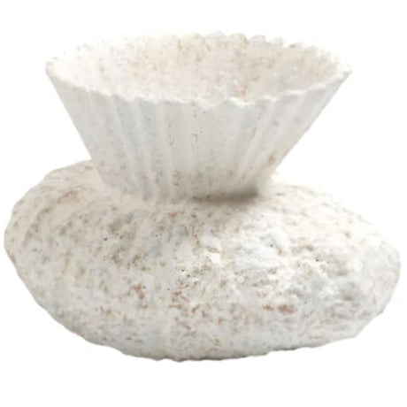 Vilette Vase Decorative Object CLL110002 651083083116