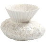 Vilette Vase Decorative Object CLL110002 651083083116