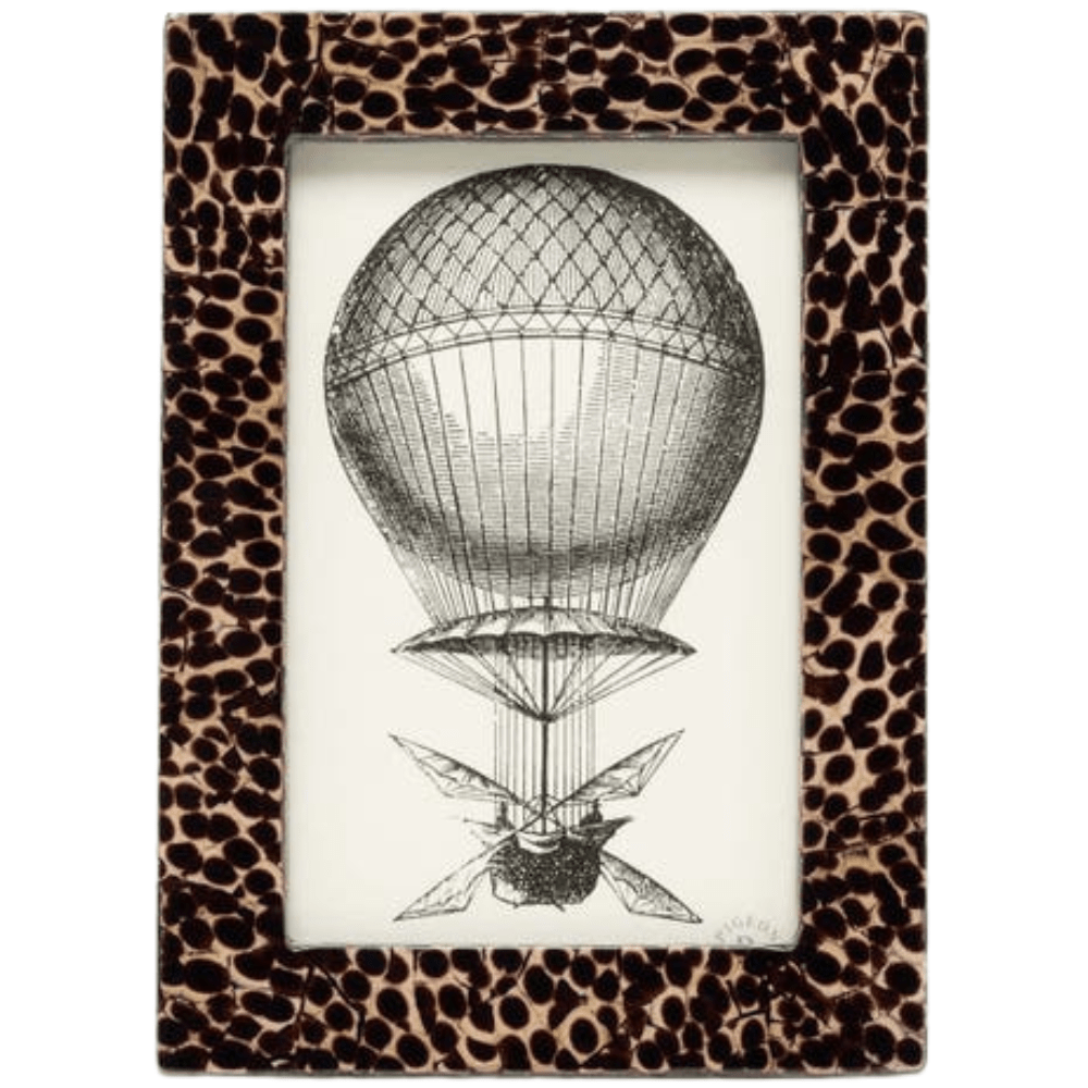 Westport Picture Frame Picture Frame 02WEST-DBZ-4X6