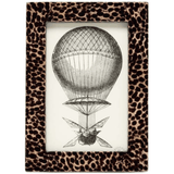 Westport Picture Frame Picture Frame 02WEST-DBZ-4X6