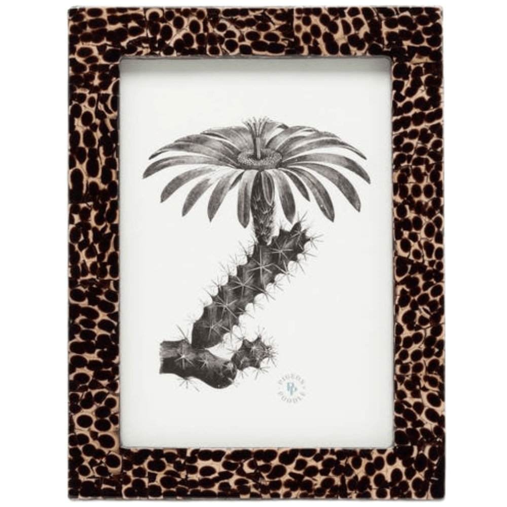 Westport Picture Frame Picture Frame 02WEST-DBZ-5X7