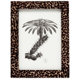 Westport Picture Frame Picture Frame 02WEST-DBZ-5X7