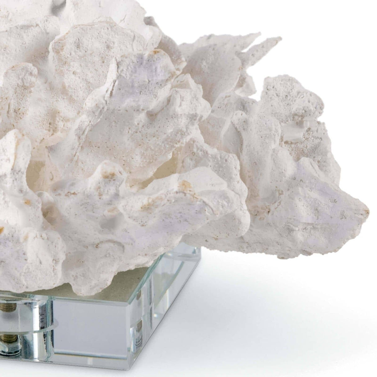 White Cabbage Coral on Crystal Decorative Object 20-1135 844717013133