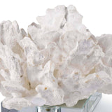 White Cabbage Coral on Crystal Decorative Object 20-1135 844717013133