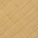 Whitney Coffee Table Coffee Table TOV-OC21035 793580642349