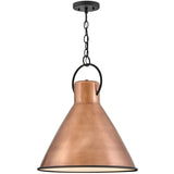 Winnie Pendant Pendant Lighting