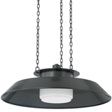 Woodrow Pendant Pendant Lighting 8822-DB 806134963217