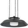 Woodrow Pendant Pendant Lighting 8822-DB 806134963217