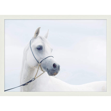 BLU ART White Horse Wall wendover-WPH1121