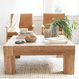 BLU Home Evander Coffee Table Furniture moes-VL-1058-24 840026432665