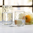 Blue Pheasant Ruby Glassware (Pack of 6) - Clear Decor
