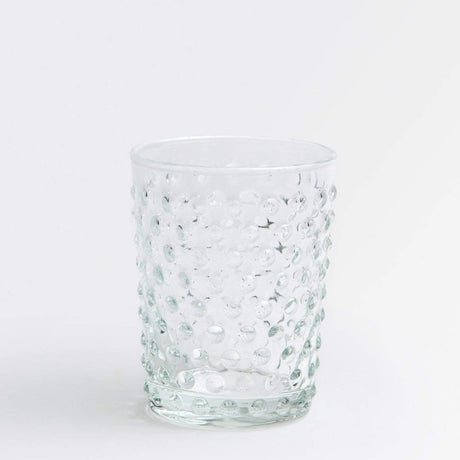 Blue Pheasant Sofia Glassware (Pack of 6) - Clear Decor