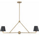 Xavier 2 Light Chandelier – Meadow Blu