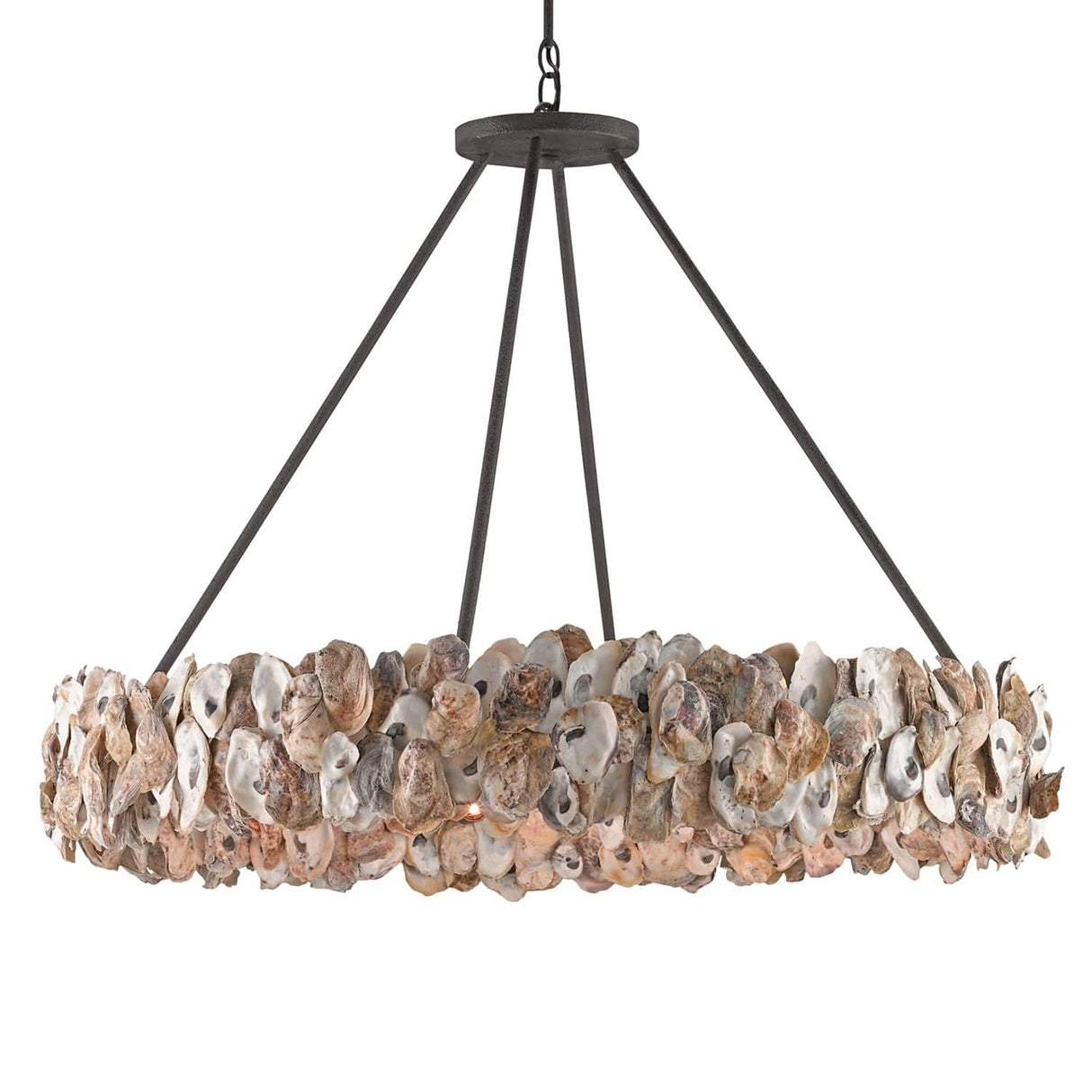 Currey and Company Oyster Circle Chandelier Lighting Currey-Co-9672
