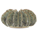 Currey & Company Sunken Boat Wings Vase Pillow & Decor currey-co-1200-0300