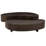 Four Hands Avett 2-Piece Coffee Table Furniture four-hands-223615-002 801542725471