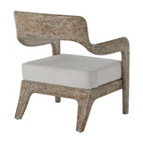 Gabby Raya Lounge Chair Furniture gabby-SCH-165100