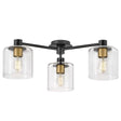 Hinkley Lighting Axel Semi-Flush Mount Lighting