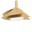 Hudson Valley Brookhaven Pendant Lighting hudson-valley-6214-AGB/SWH